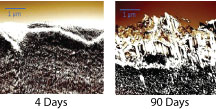 differences in oxidation on a layered polymeric film