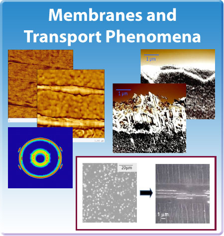 CLiPS Membranes and Transport Phenomena