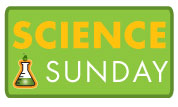 Science Sundays